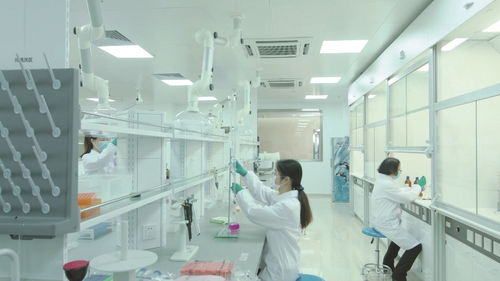擴大檢測能力，深化企業(yè)服務(wù) 市食藥檢科院打造嵌入式服務(wù)金名片